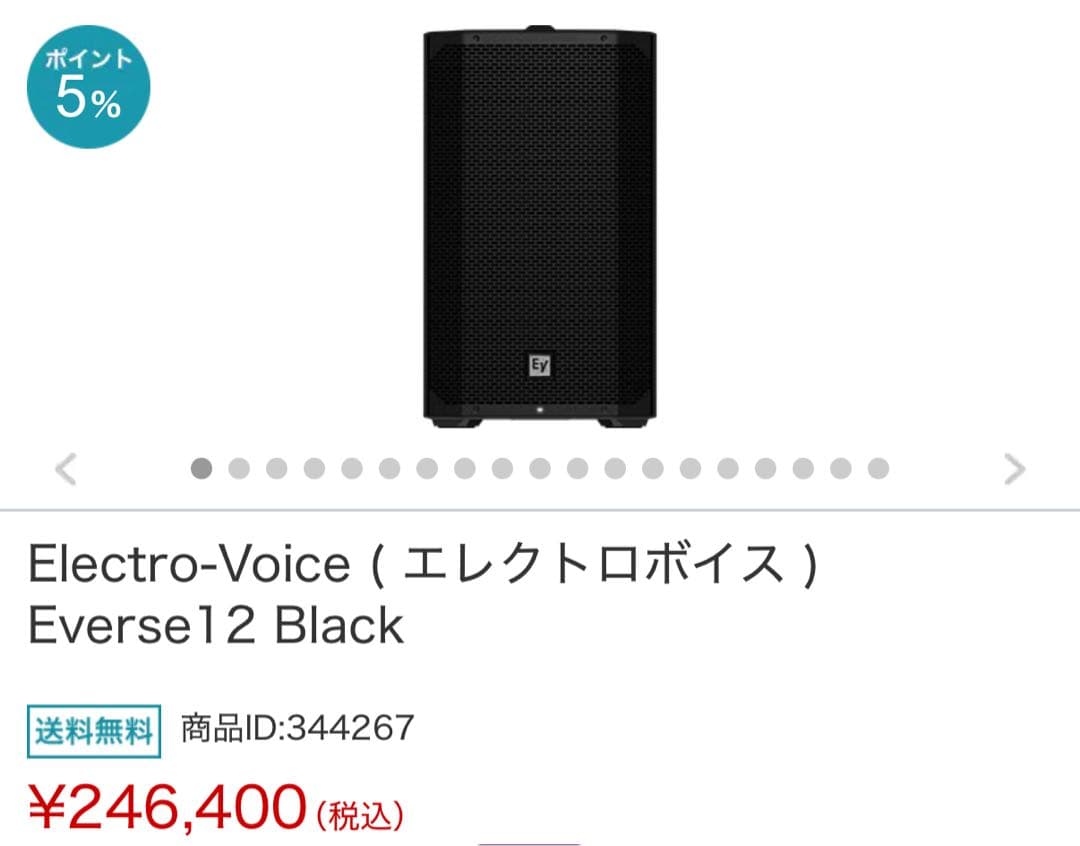 everse12 Electro-Voiceエレクトロボイス　スピーカー
