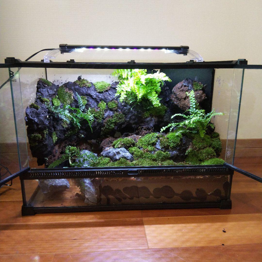 【受注生産】滝のあるアクアテラリウム　イモリウム　苔テラリウム　アクアテラリウム