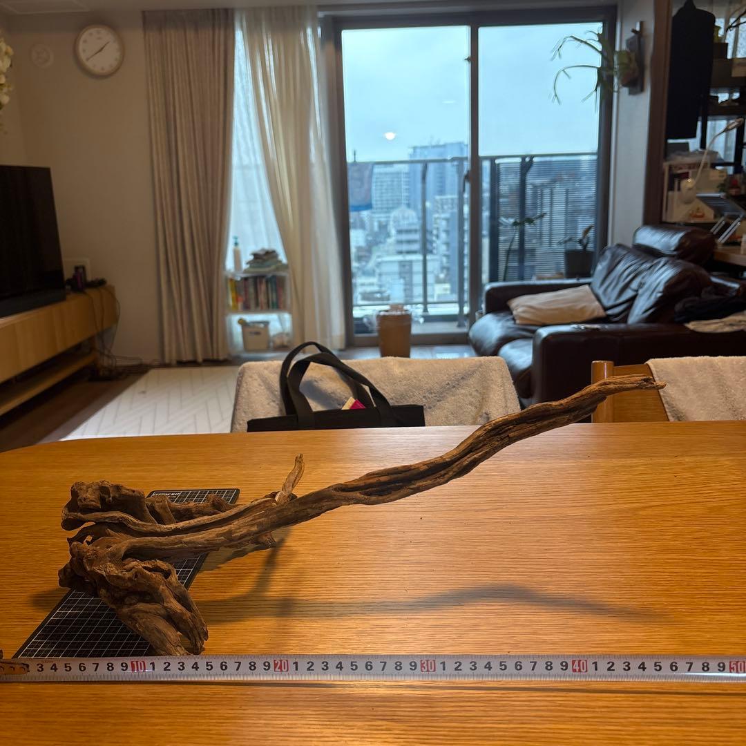 【早い者勝ち】ADA流木　5本（まとめ買い500円引）