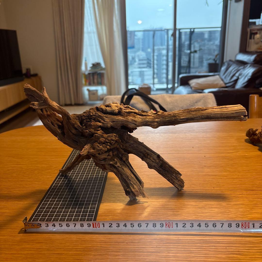 【早い者勝ち】ADA流木　5本（まとめ買い500円引）