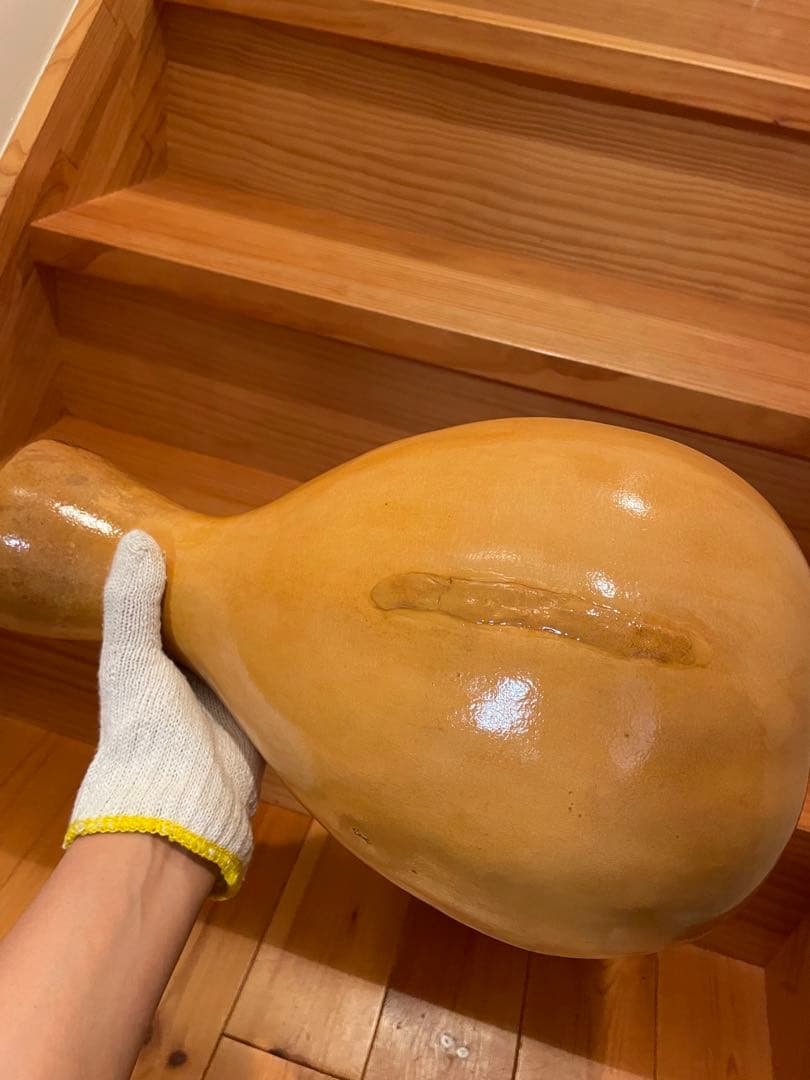 イプ　訳あり　コーティング済