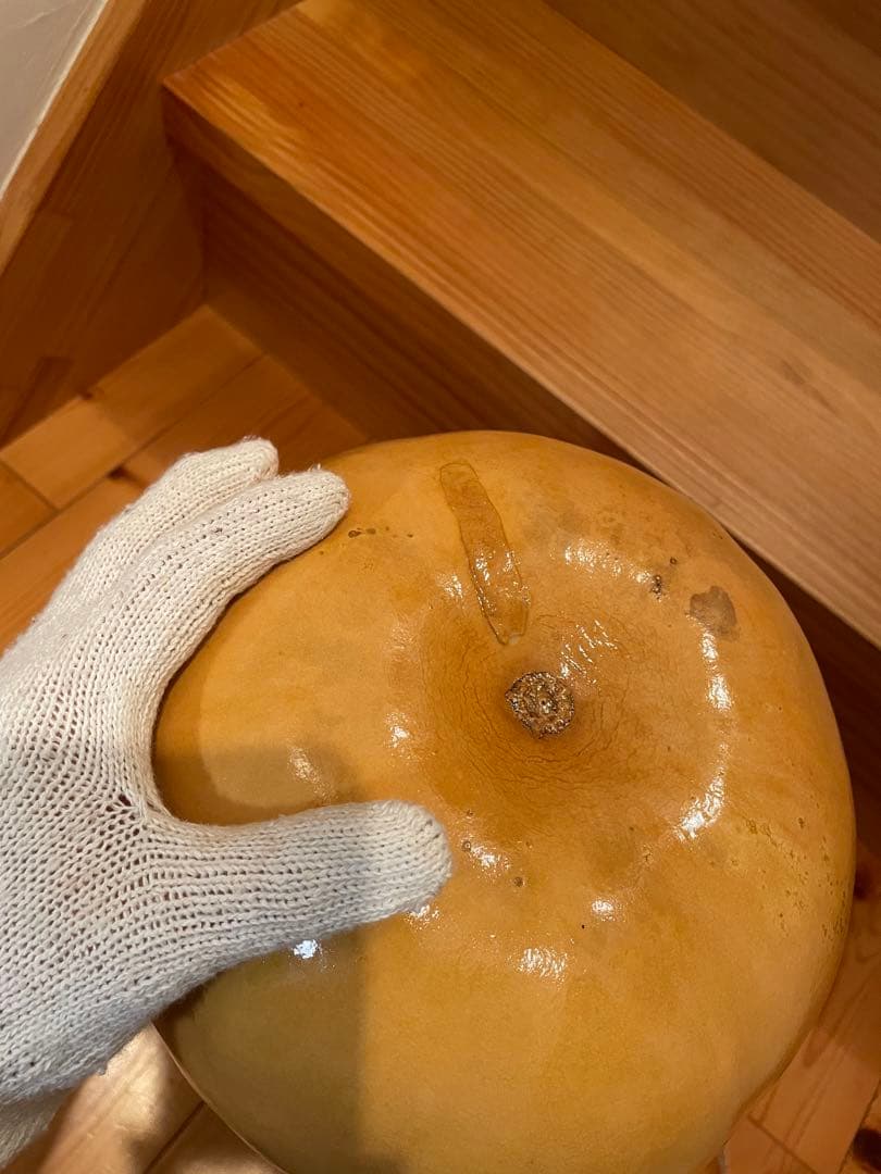 イプ　訳あり　コーティング済