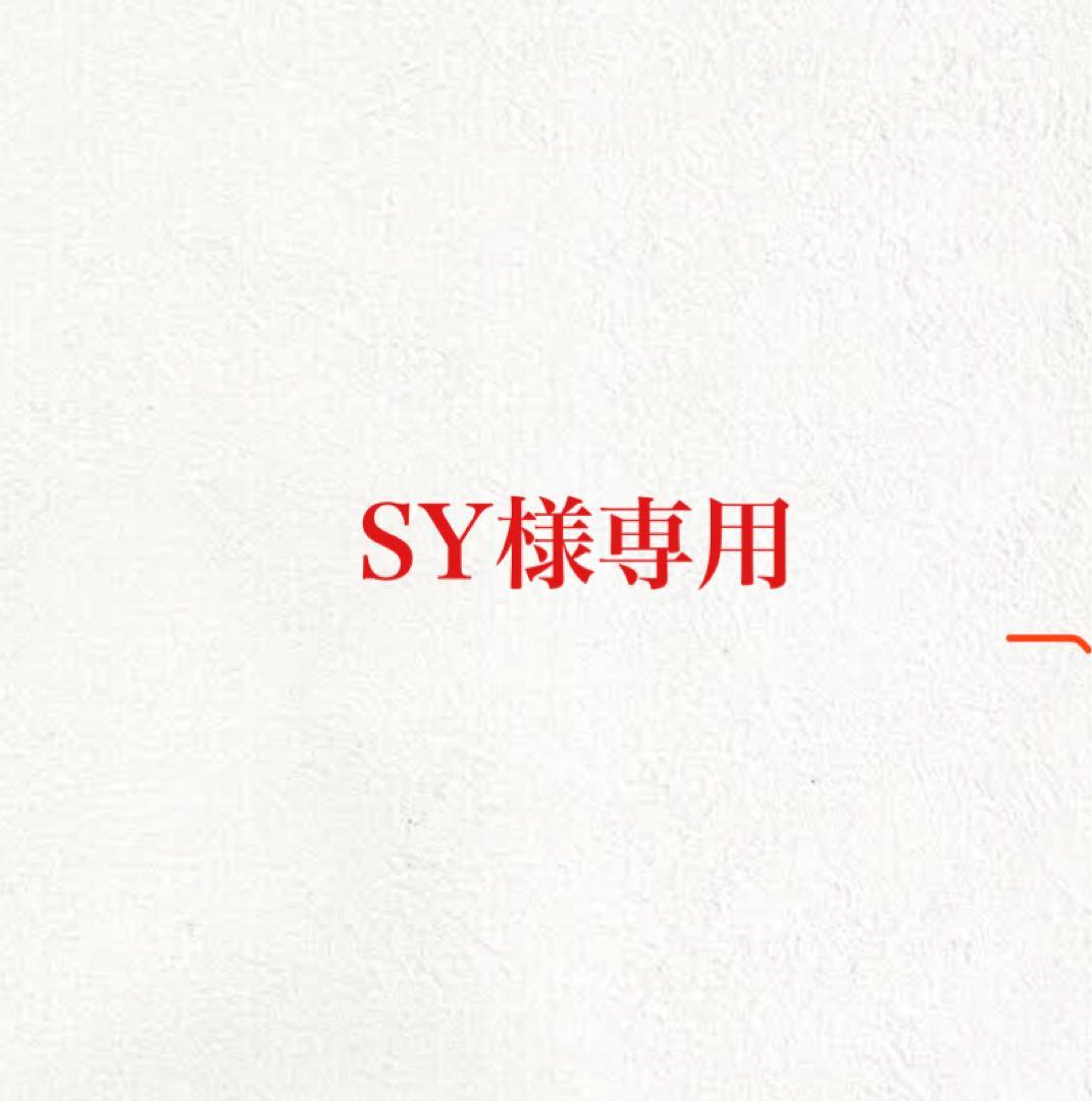 BONAVENTURA ペンケース　ブルーシアン