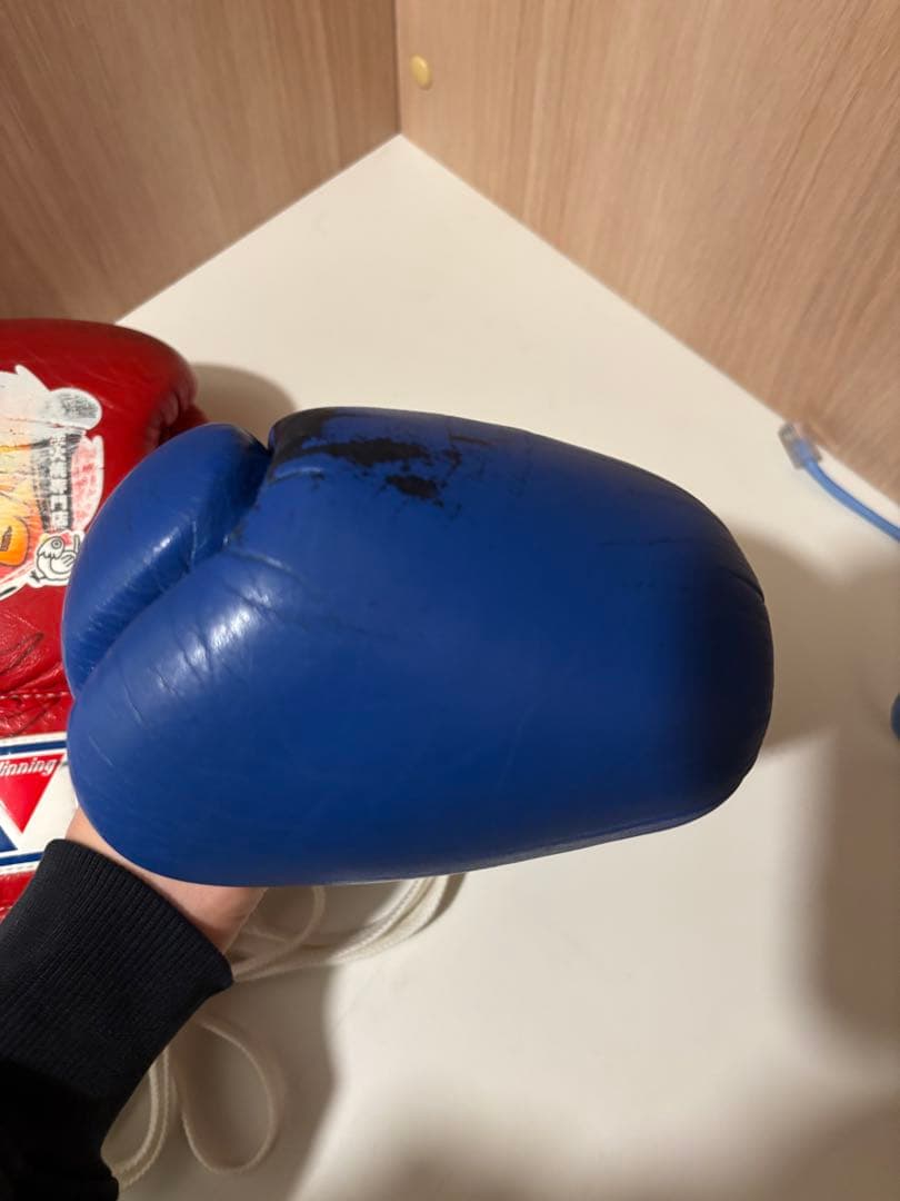 Winning ボクシンググローブ 8オンス　赤 青