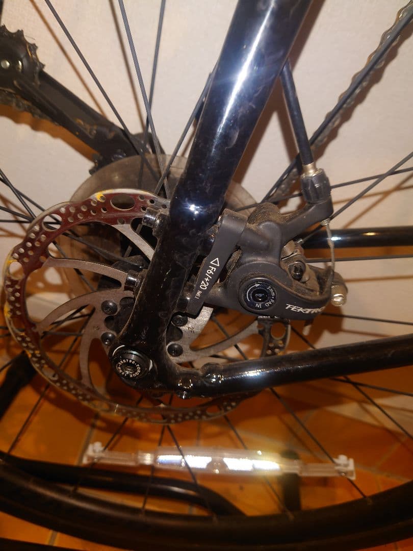 TREK DOMANE 2 2022年12月購入 サイズ54