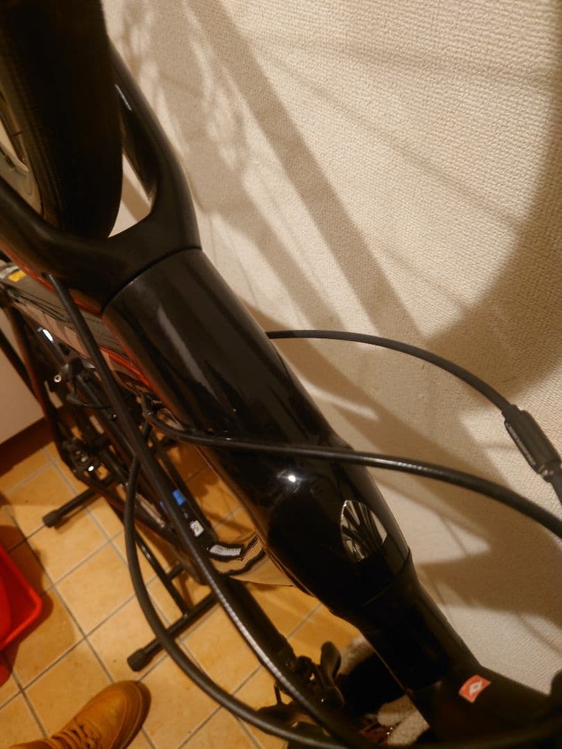 TREK DOMANE 2 2022年12月購入 サイズ54