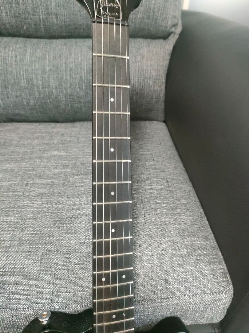 Framus Panthera Supremeフラマス　Duncanピックアップ