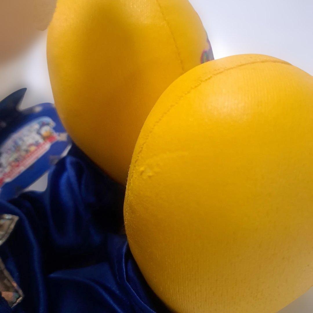 東京ディズニーランド 20周年 ミッキー ぬいぐるみ