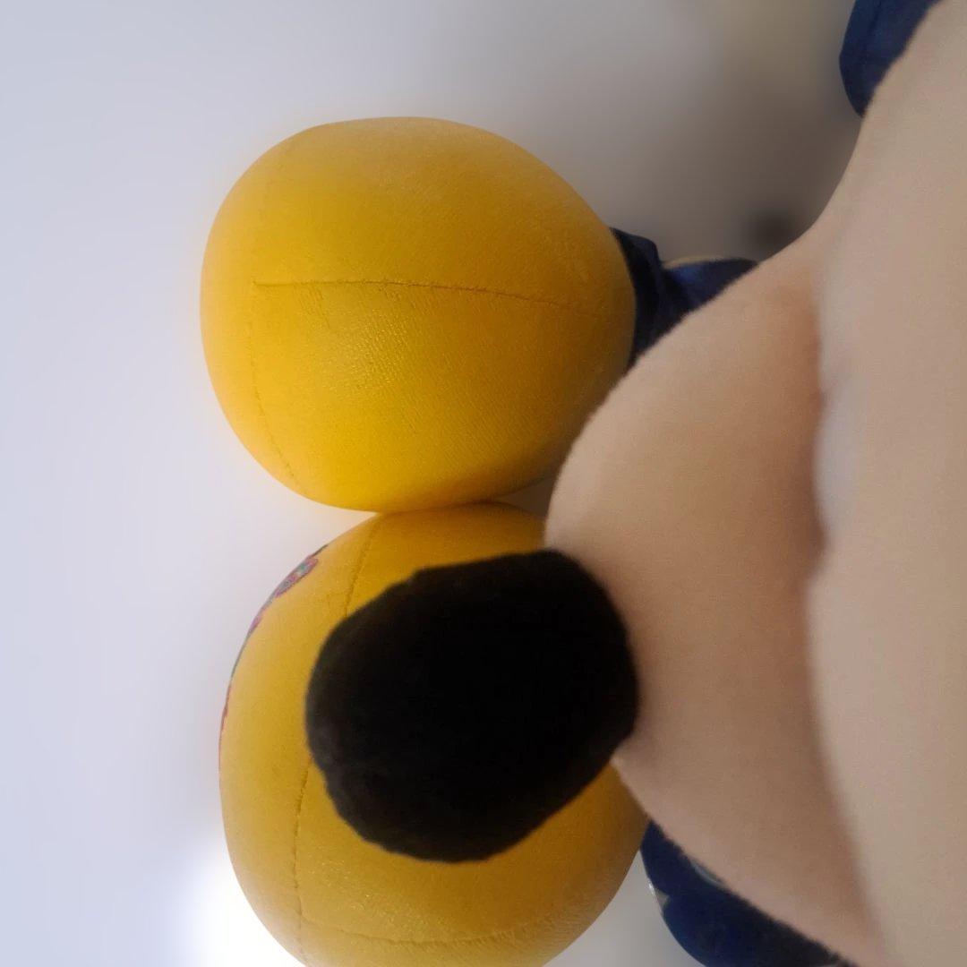 東京ディズニーランド 20周年 ミッキー ぬいぐるみ