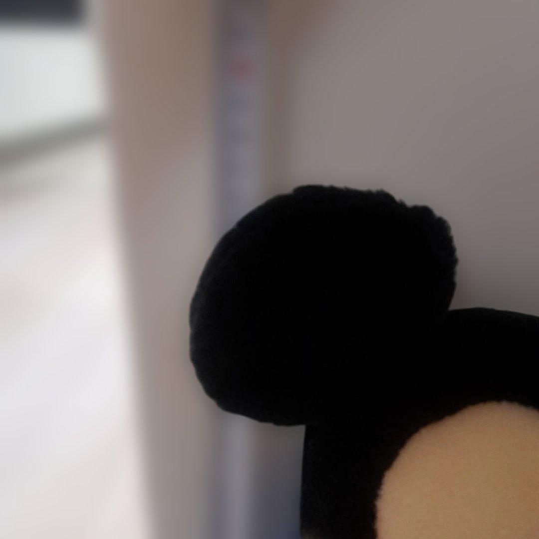 東京ディズニーランド 20周年 ミッキー ぬいぐるみ