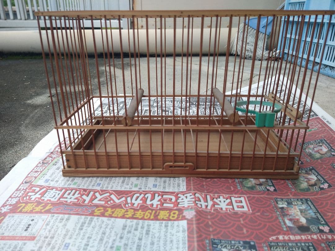 １００年竹製　メジロ籠