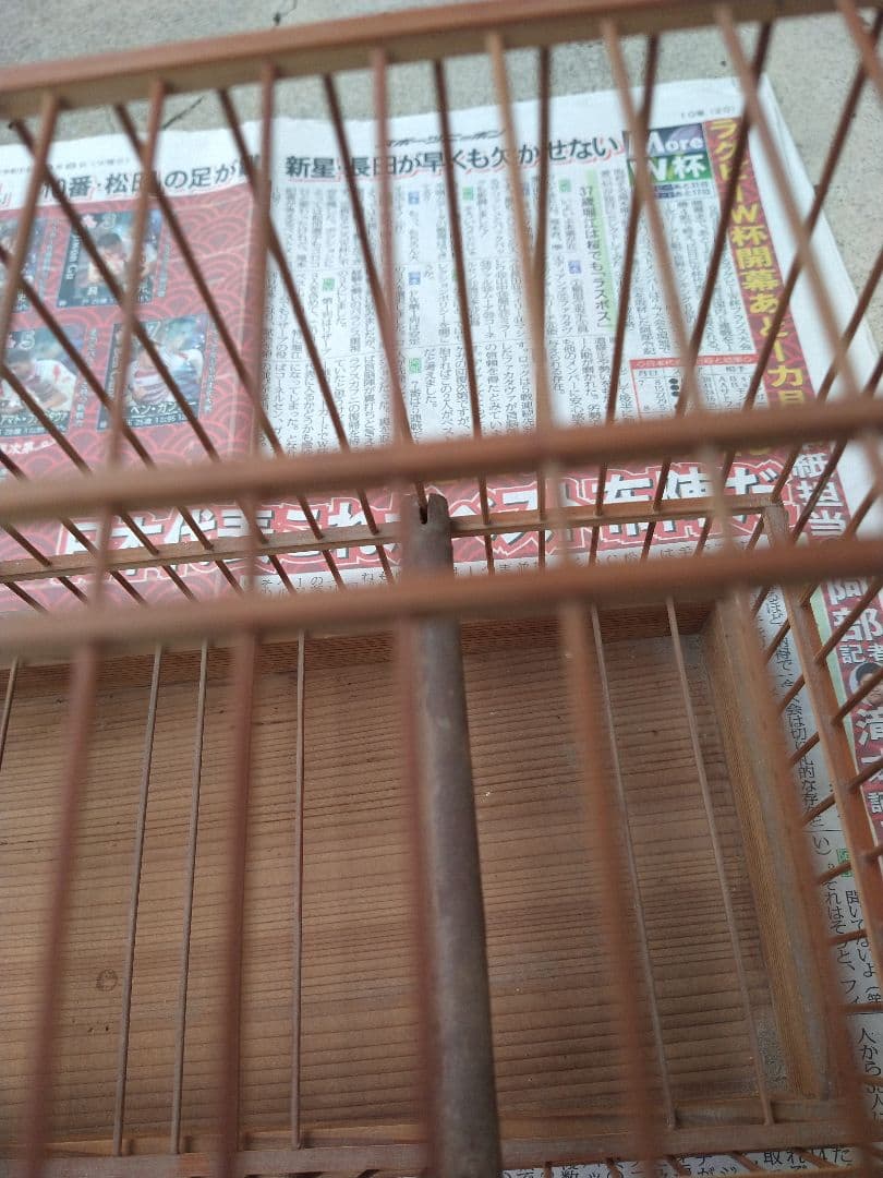 １００年竹製　メジロ籠