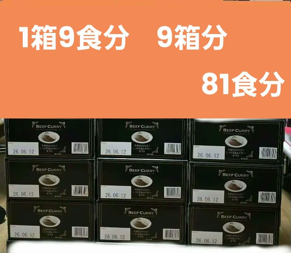 日本ハム ビーフカレー ギフトボックス 99食セット