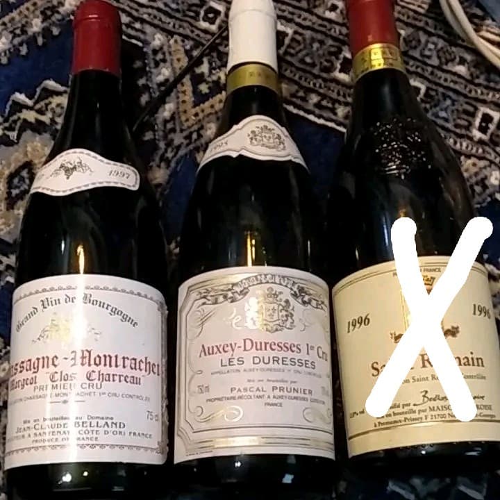 シャサーニュモンラッシュ97、オークセイジュレス95