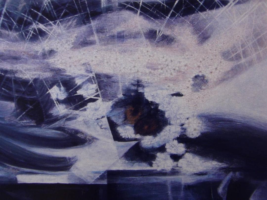 赤井良子、【さくら（２０００年）宇宙】、希少画集画より