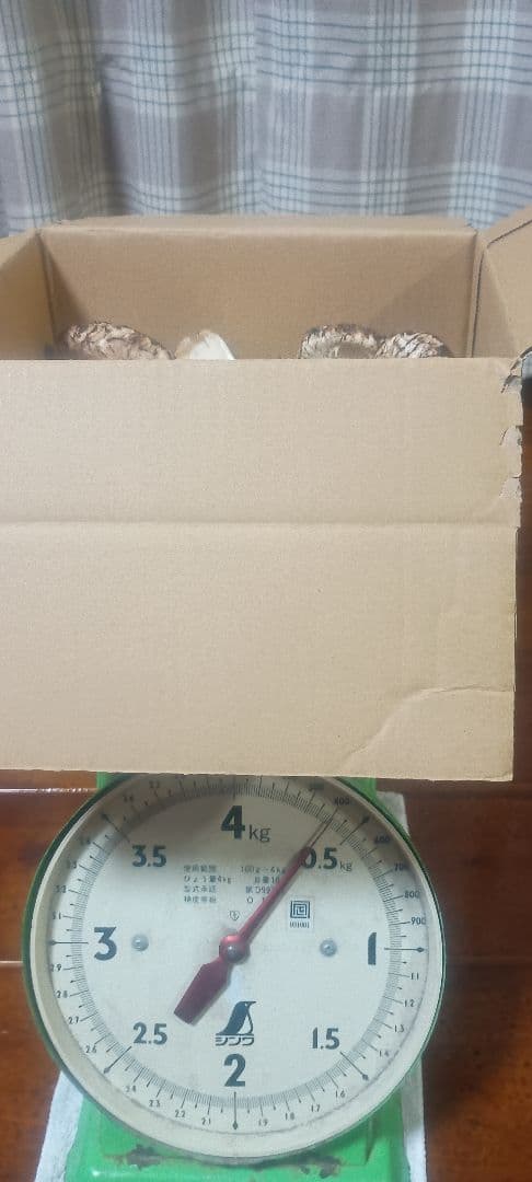 松茸 　400㌘　岐阜県産