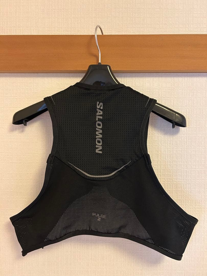 サロモン　パルス2 Lサイズ