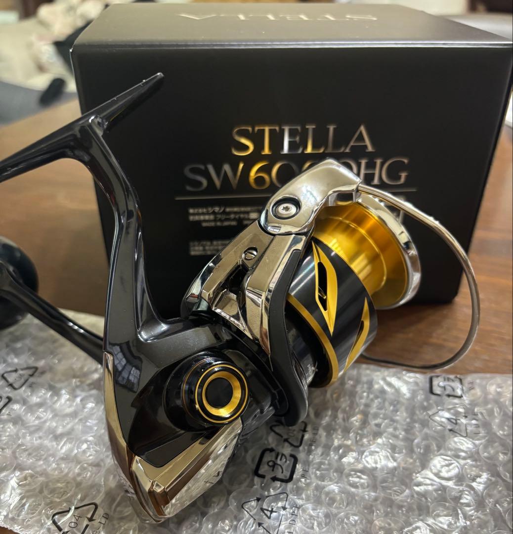 20ステラSW 6000HG 美品機関良好品