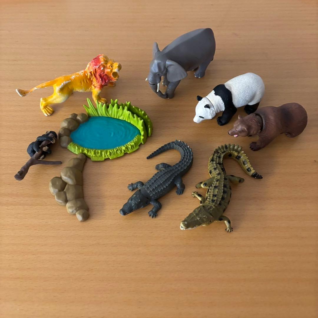 【参考写真、追加商品説明】アニア　まとめ売り