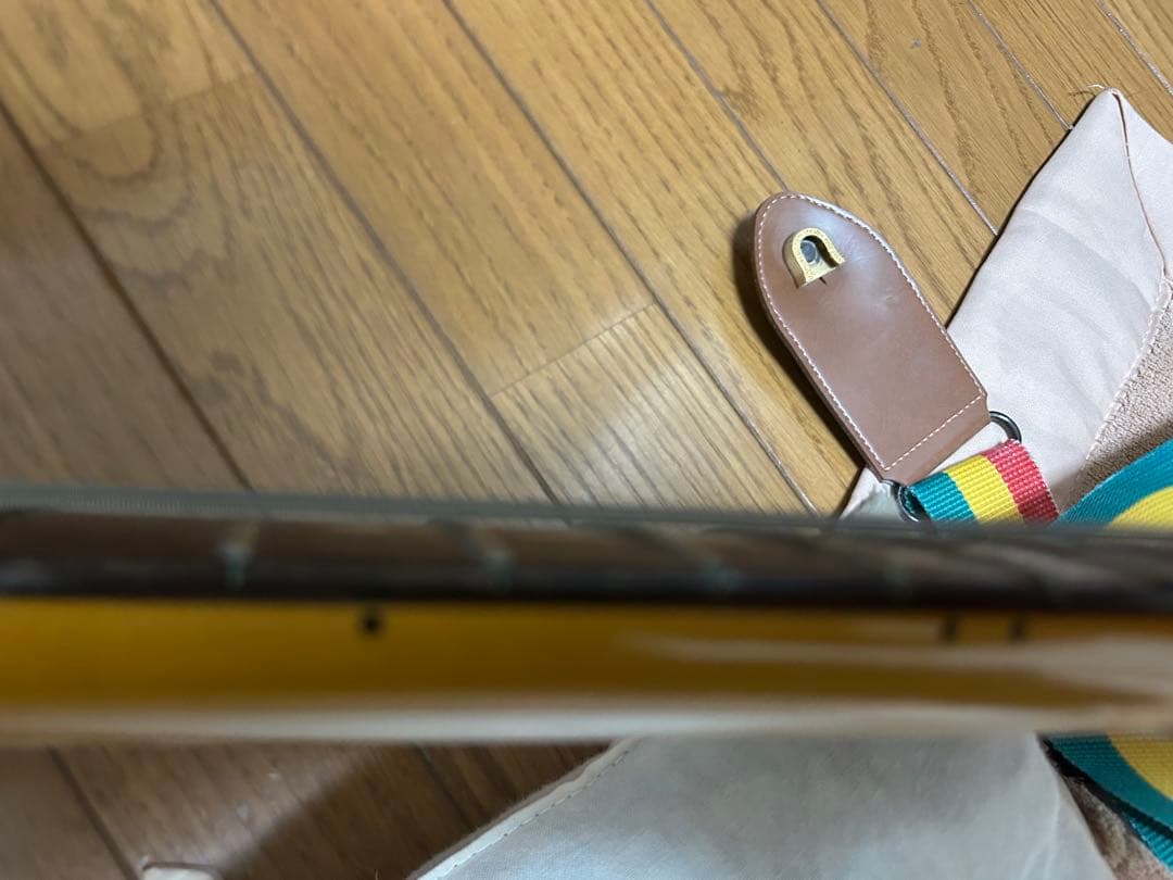 Fender  Cobain Jagstangジャグスタング