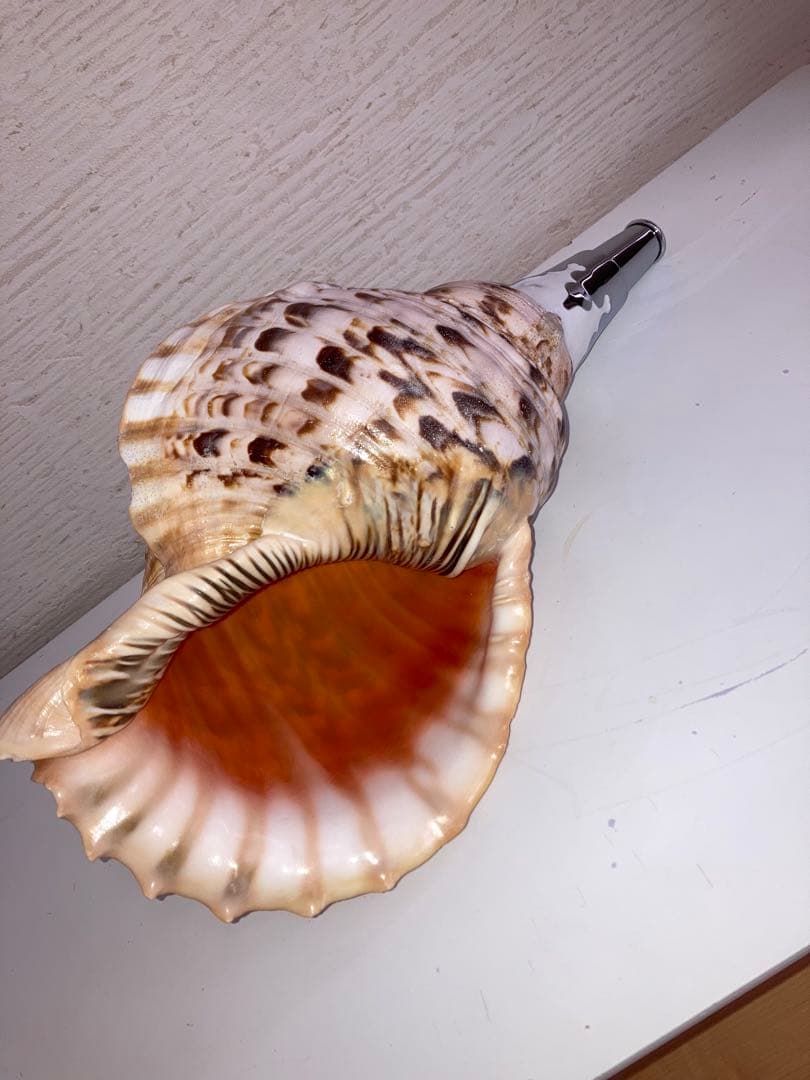 法螺貝　ほら貝　ホラ貝　修験道　お遍路　密教　お祭り　お寺　神社