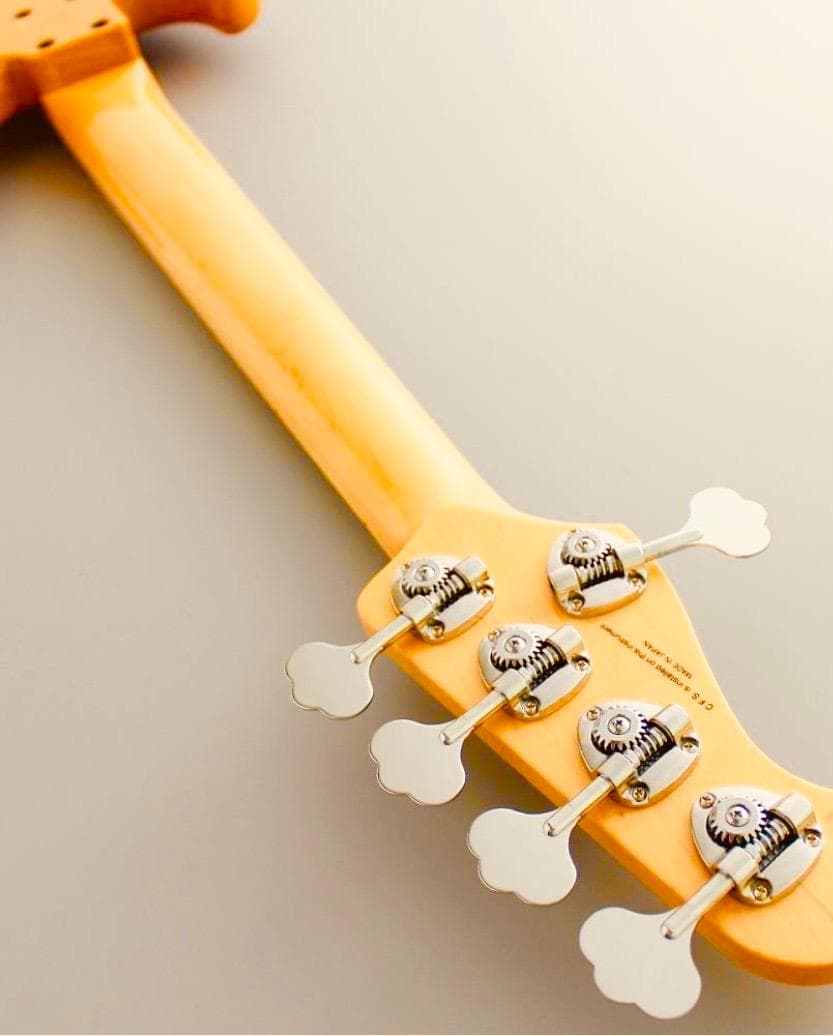 FGN NJB10MBAHV-VNT/01 エレキベース