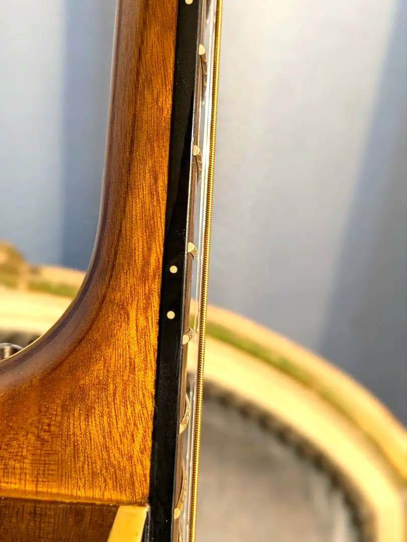 世界トップクラスのLサスティンリヴァ一ブ！！CROSS.REVERBギター