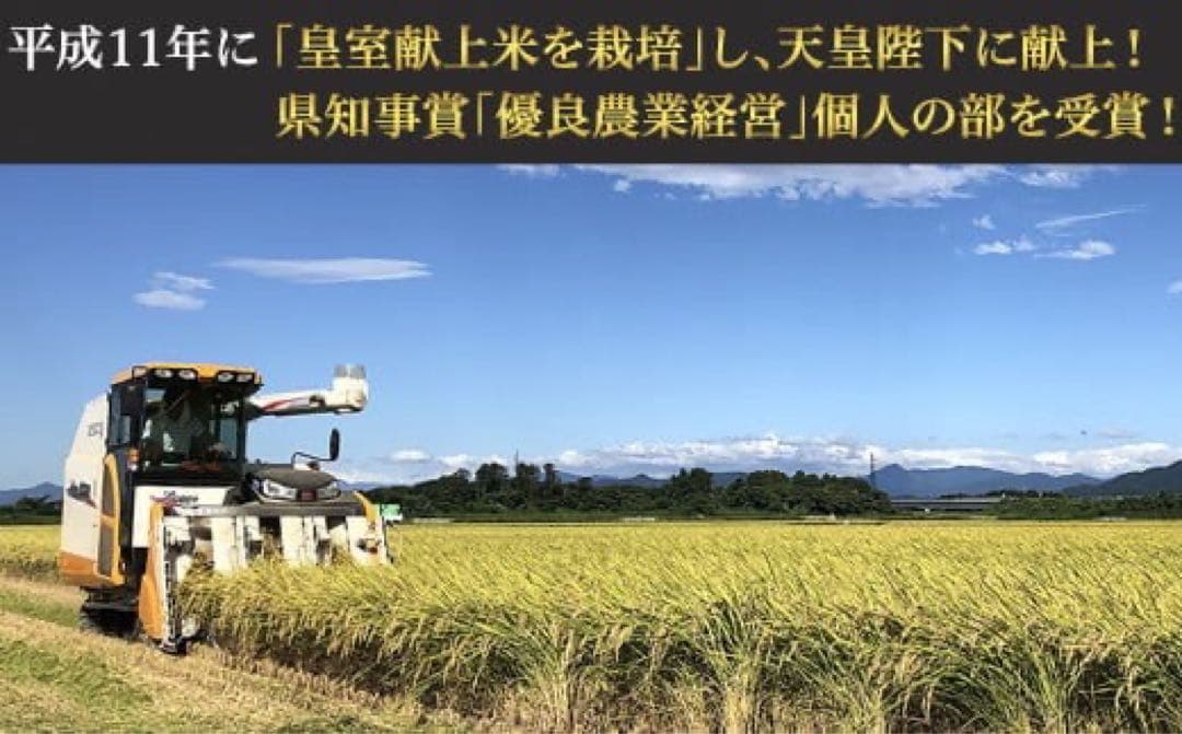 新潟県胎内市産　無洗米 コシヒカリ 5kg×2袋