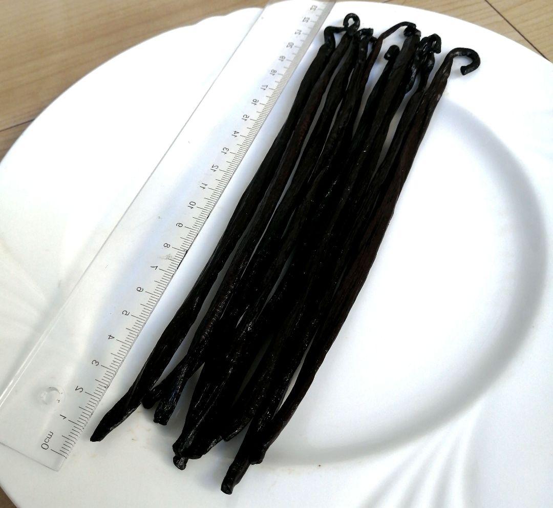 パプアニューギニア産 オーガニック バニラビーンズ 1ｋｇ