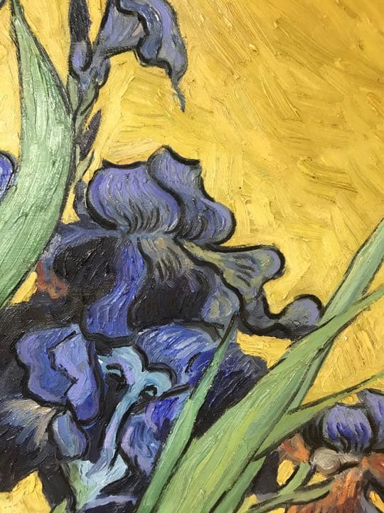 アイリスのある静物[中国のゴッホこと趙小勇作］