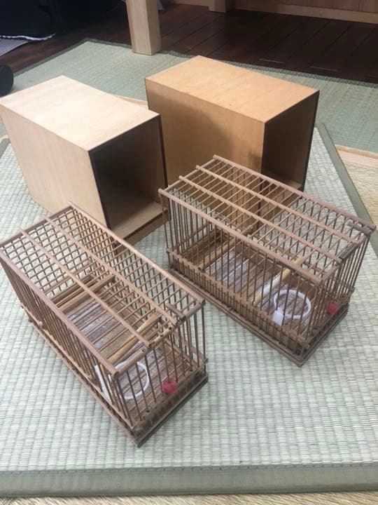 鳥籠、箱セット