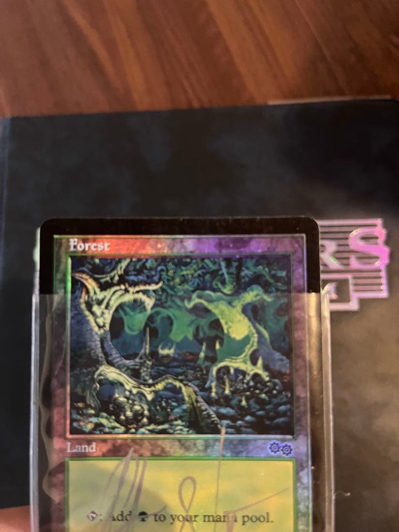 MTG 【USG】　Forrest アリーナfoil サインド