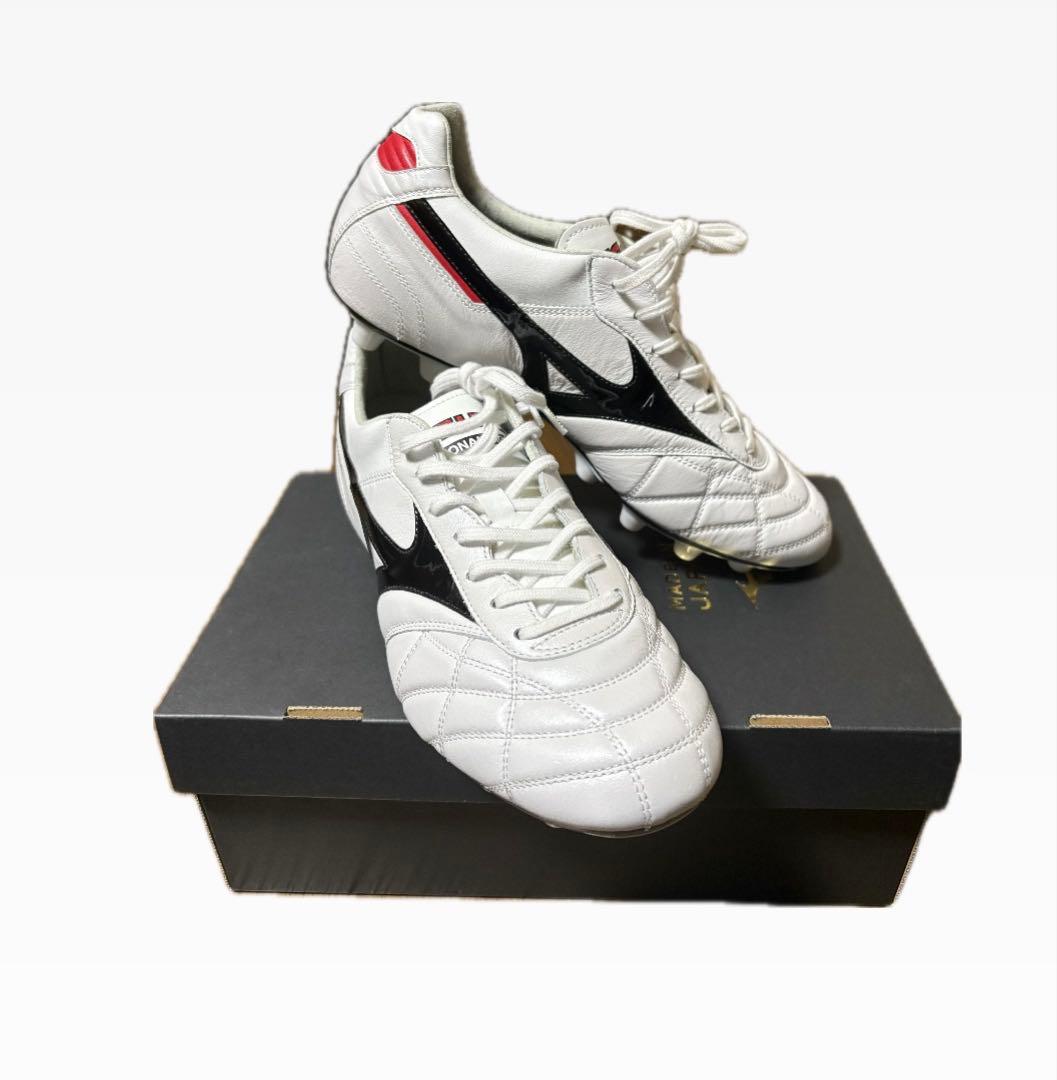 Mizuno モレリア　クロスステッチ