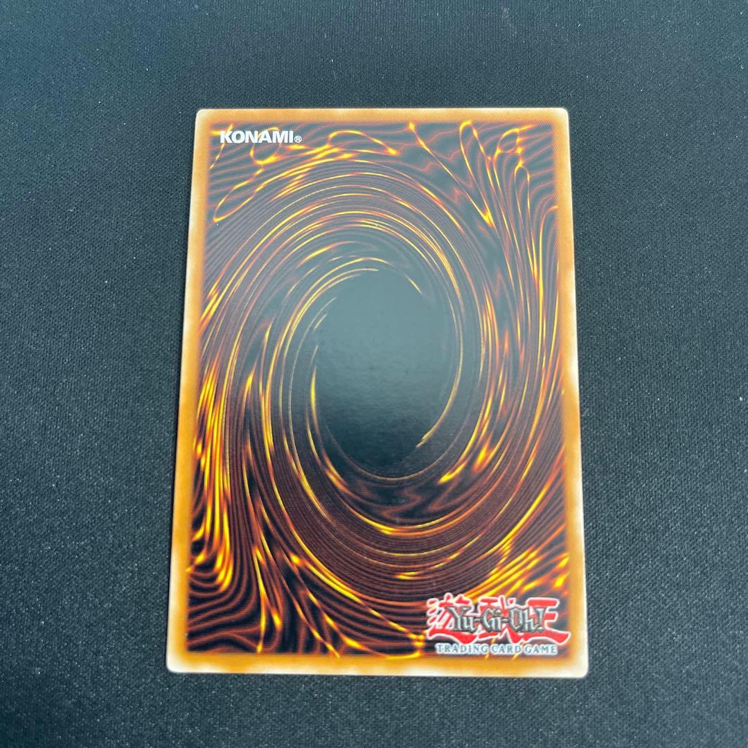 専用　遊戯王　ブラックローズドラゴン　レリーフ　英語版　EN