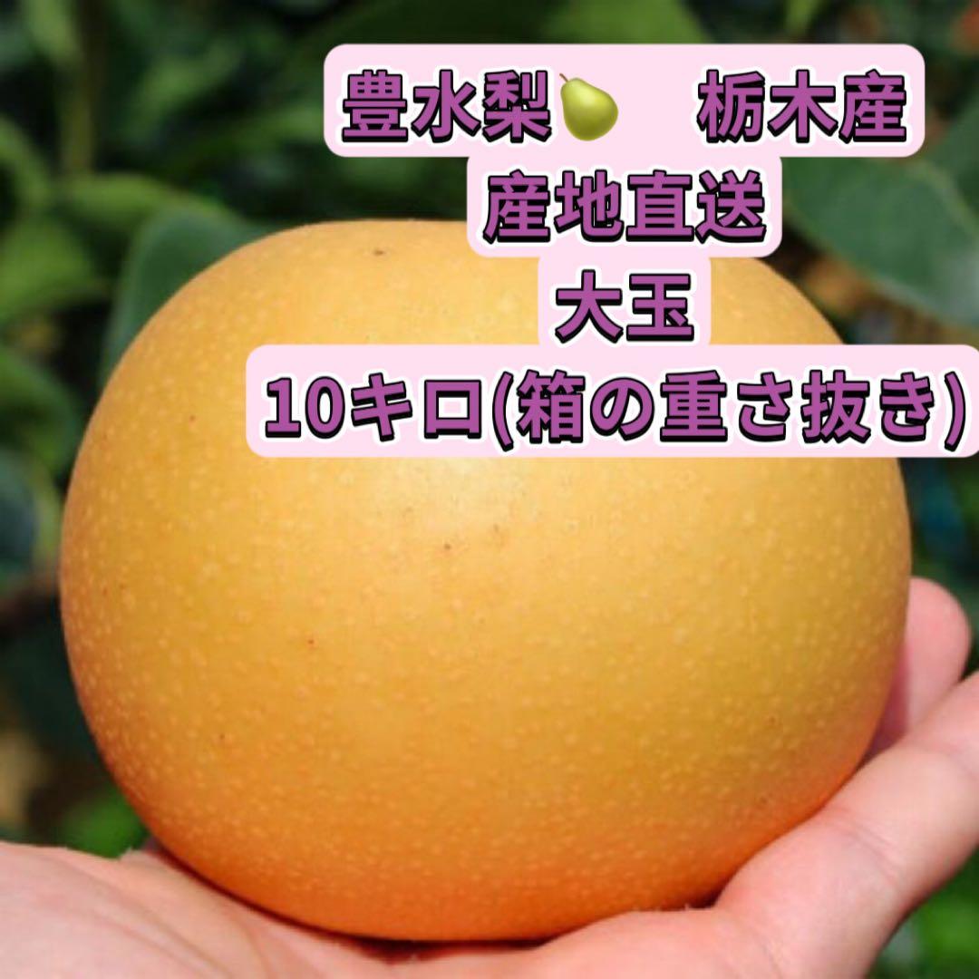 ランランページ　栃木県豊水梨　10キロ入り2箱
