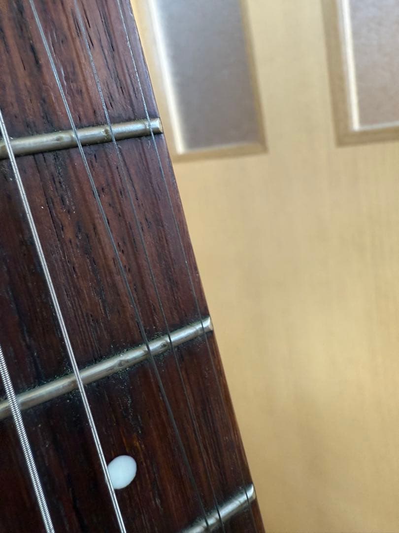 Godin Session エレキギター サンバースト ケース付き