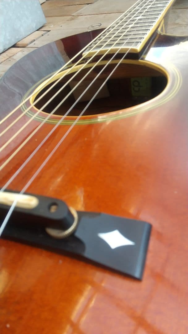 レオさん専用 ARIA Elecord AE-100 エレアコギター