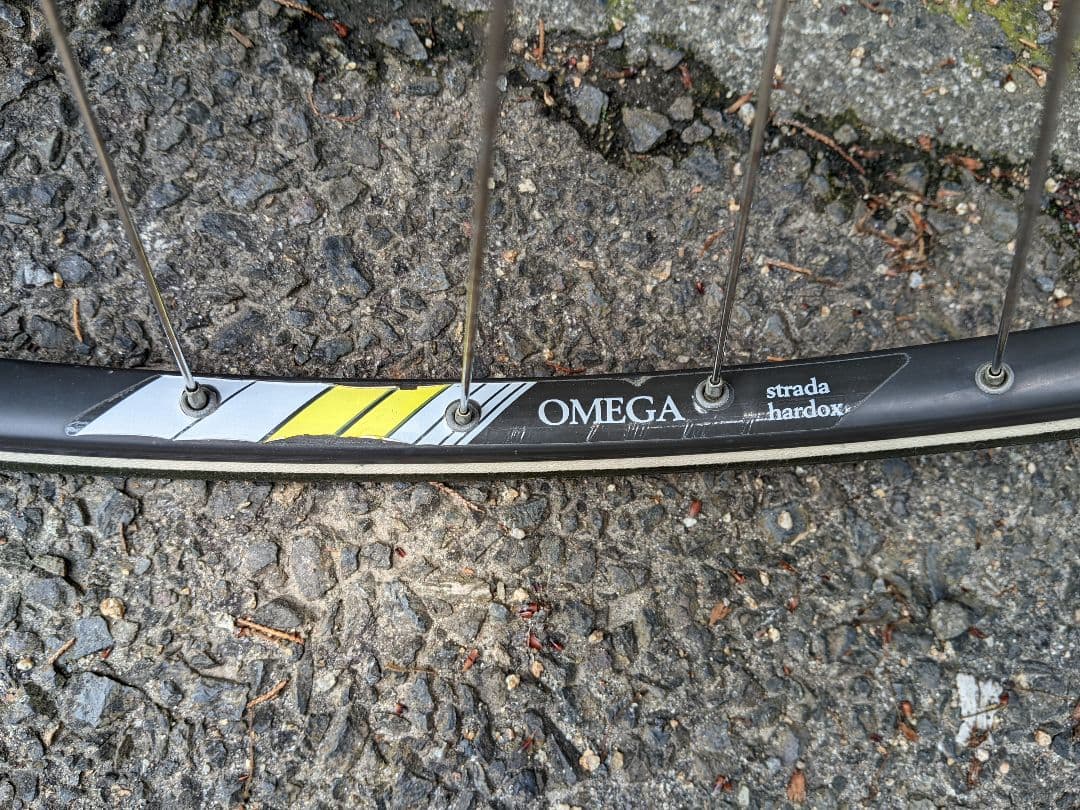 Panasonic RX-1 ロードバイク 紫/黒