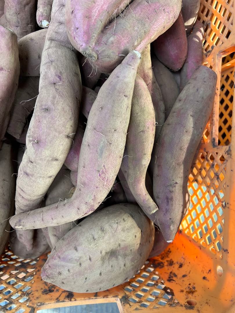 まもるシルクスイート20k×3 60kg