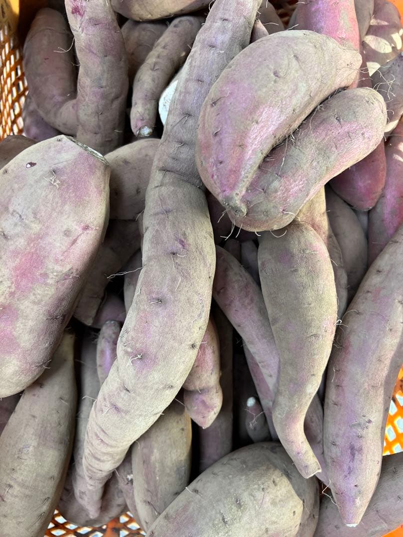 まもるシルクスイート20k×3 60kg