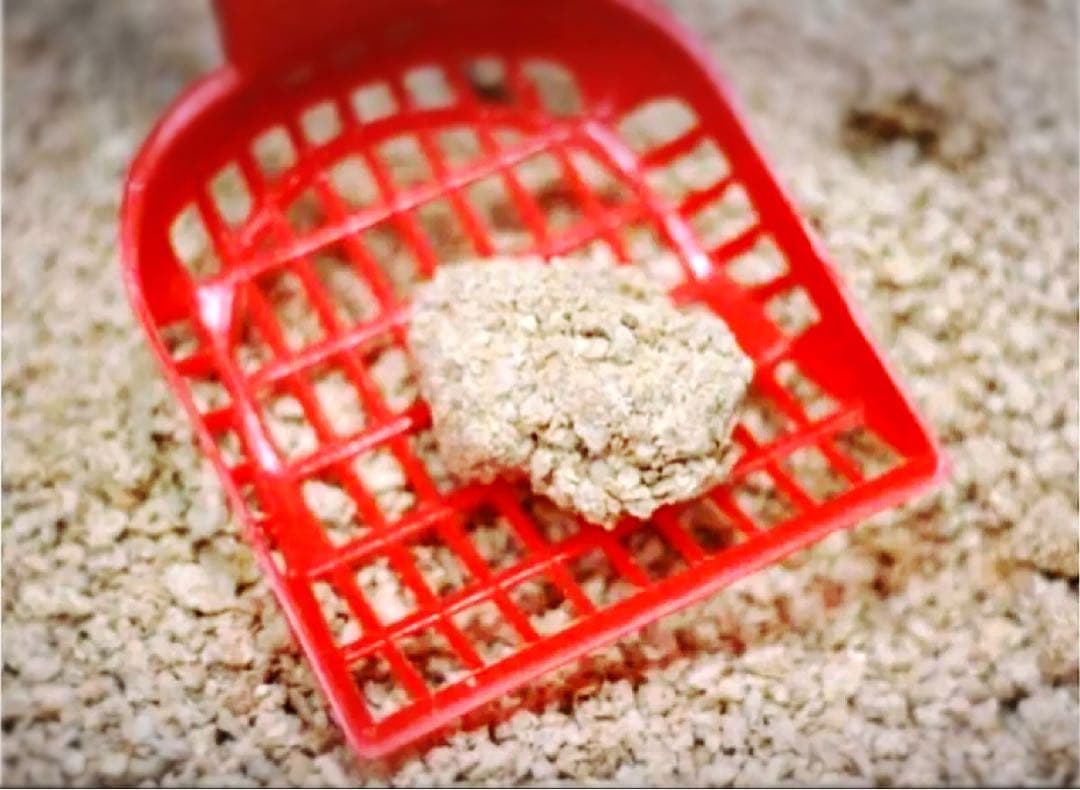 ★ 木製の猫砂 キャッツエコ/CAT'S ÖKO 5Lx 8袋 ★