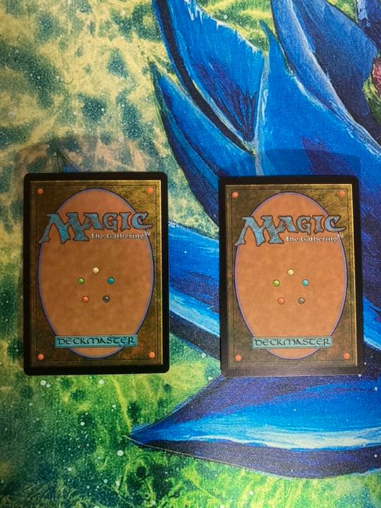 mtg 厚かましい借り手 日本語 2枚セット