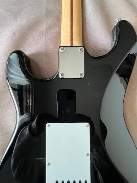 FUJIGEN J-Standard JST-5M ストラトキャスターモデル