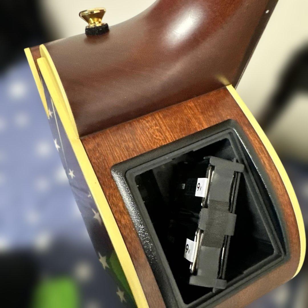 TAKAMINE P3FCN エレガットギター美品