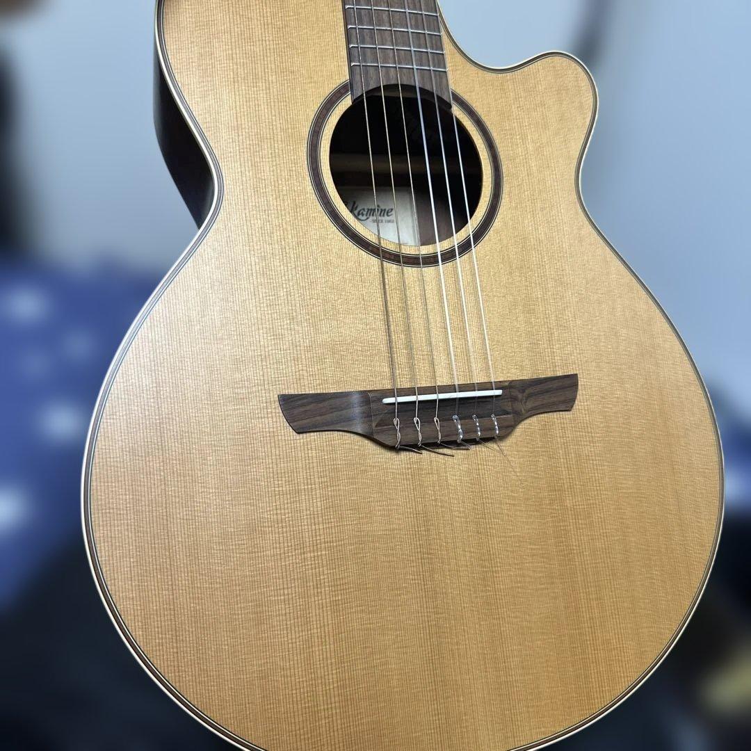 TAKAMINE P3FCN エレガットギター美品
