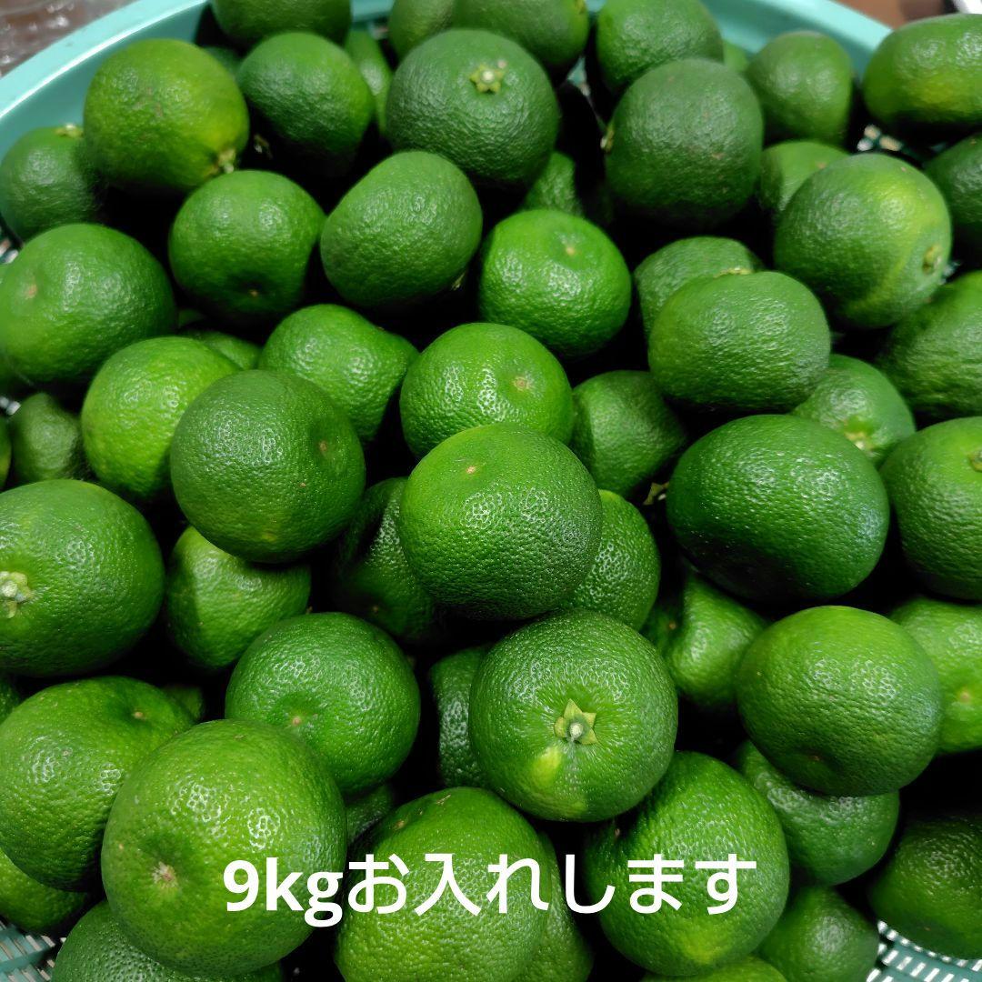 種無しすだち　徳島産　秀品2L　9kg（箱込み10kg以内）