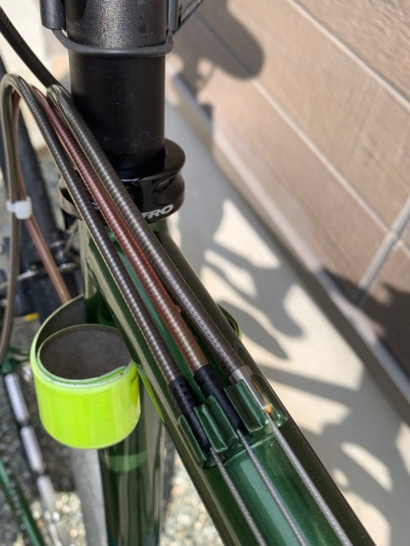 Calamita CXオリーブ