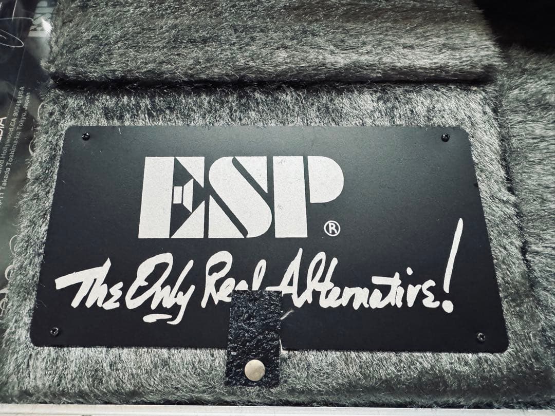 激レア ESP 初代SUGIZOモデル BRILLIANT MIXEDMEDIA