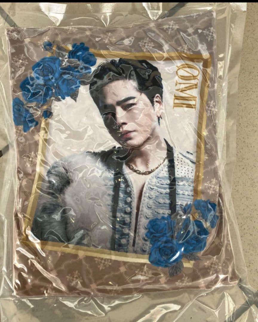 KINGDOM 登坂広臣　実写クッション アクスタ、フォトカード付