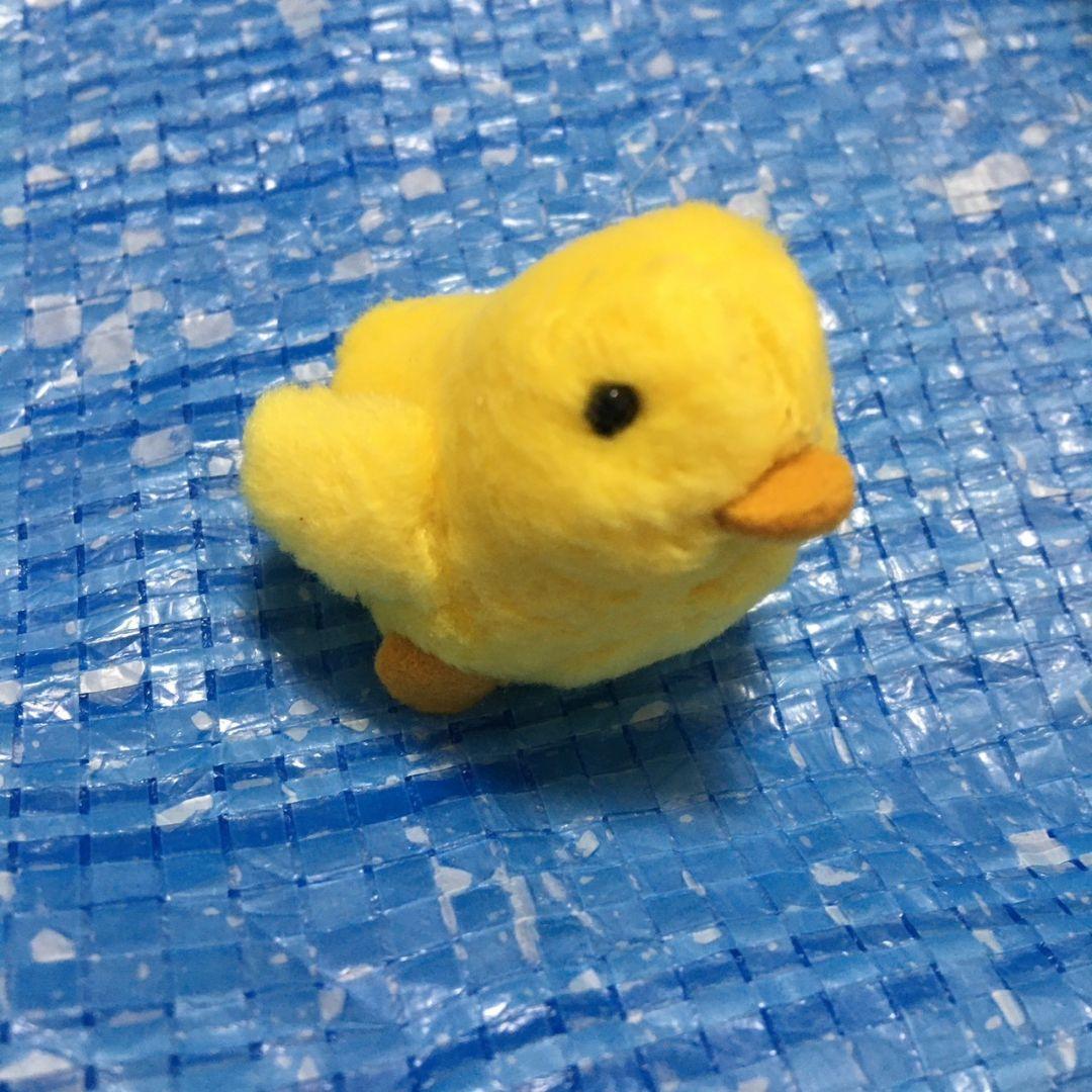 レア　ぶるぶるどっぐ水玉パンツ　ひよこ　ぬいぐるみ